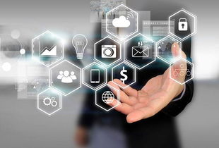 所志國軟文寫作案例 不靠廣告靠口碑，誠信服務成就電子商務新典范